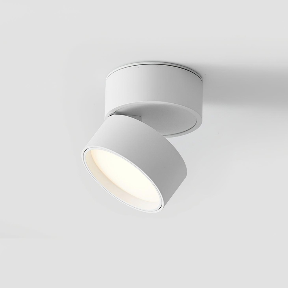 Adjustable Aluminum Ceiling Cylinder Light – Minimalist Architectural Design