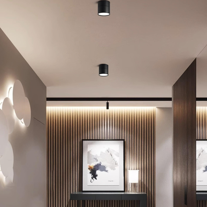 Adjustable Aluminum Ceiling Cylinder Light – Minimalist Architectural Design