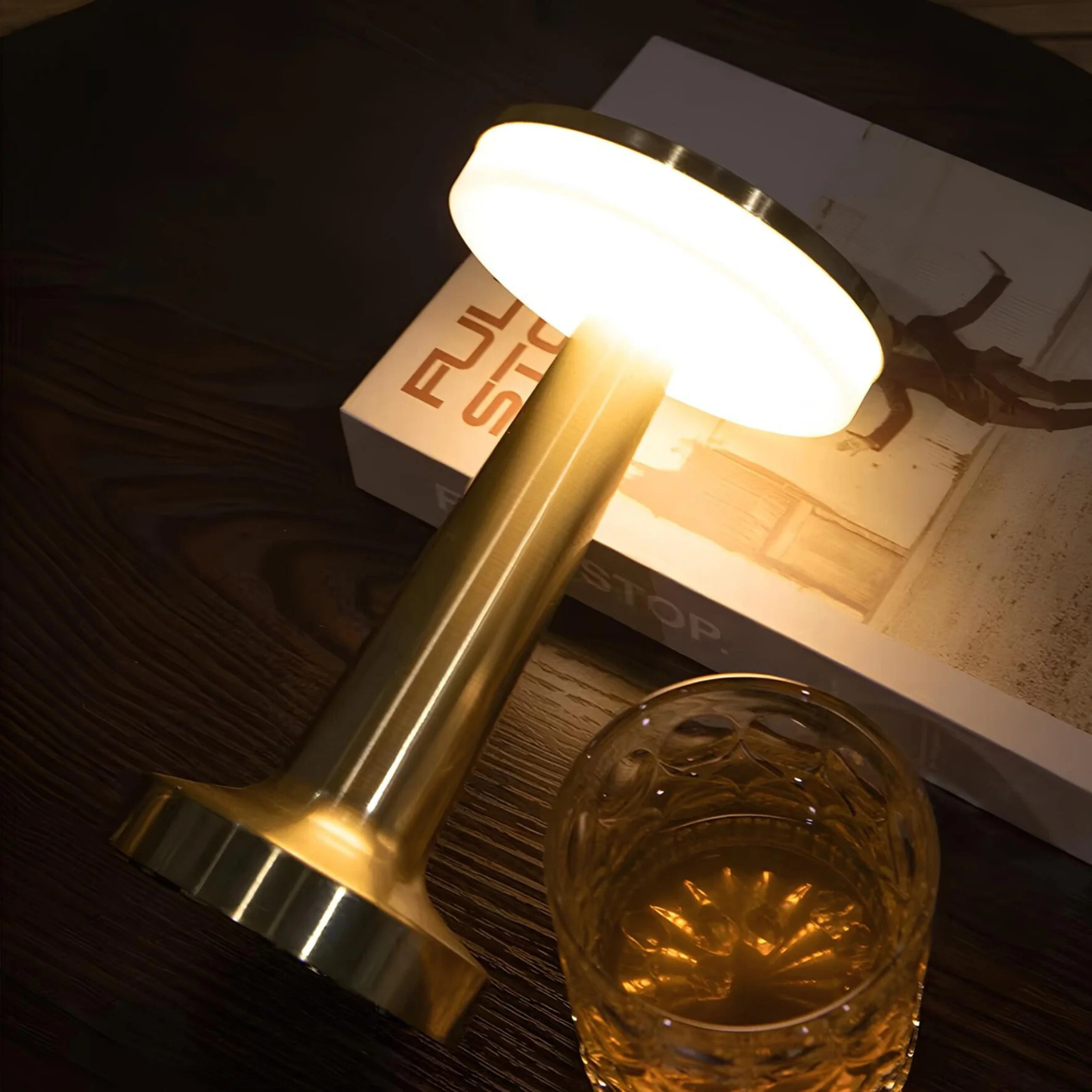 Cordless LED Disc Touch Lamp