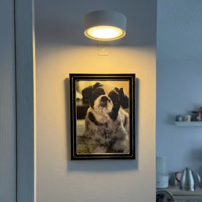 Rechargeable Magnetic Picture Light with Remote - Tool-Free Gallery Spotlight