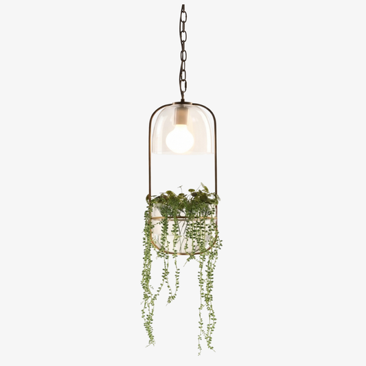 Modern Botanical Planter Pendant Light  - Gold Glass Bowl Pendant Lights