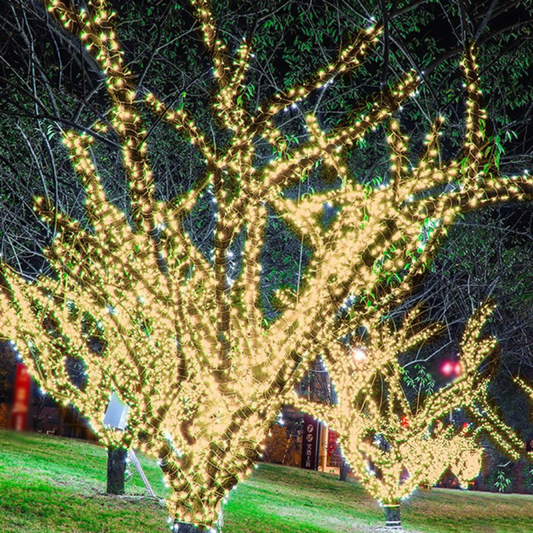 Weather-Ready Solar Outdoor String Lights - Warm White LED Fairy