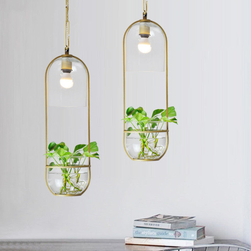 Modern Botanical Planter Pendant Light  - Gold Glass Bowl Pendant Lights
