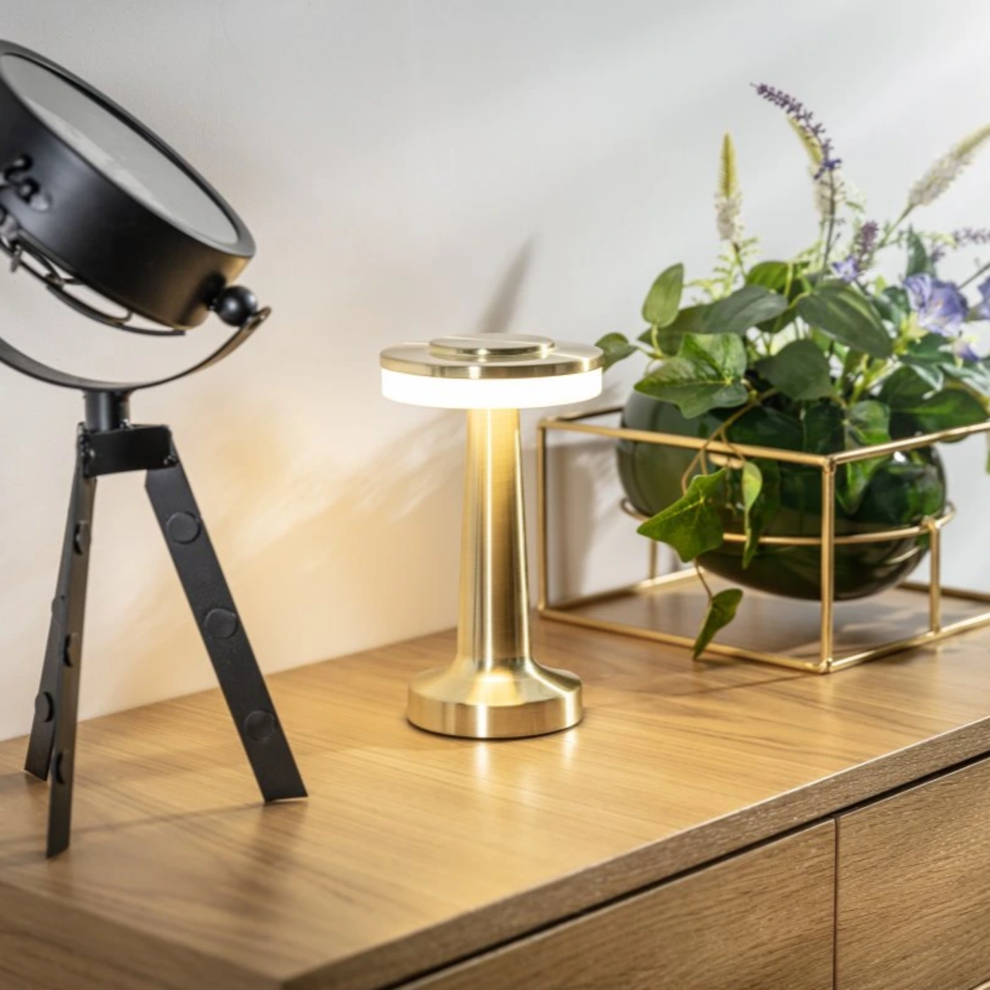 Cordless LED Disc Touch Lamp
