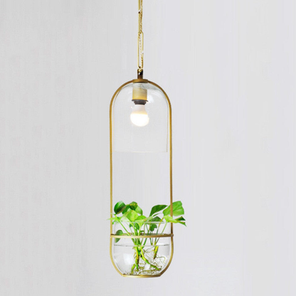 Modern Botanical Planter Pendant Light  - Gold Glass Bowl Pendant Lights