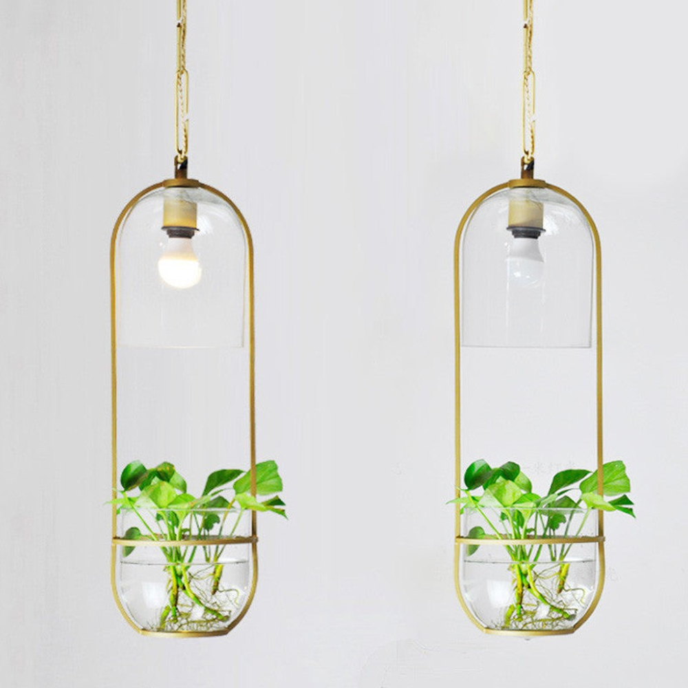 Modern Botanical Planter Pendant Light  - Gold Glass Bowl Pendant Lights
