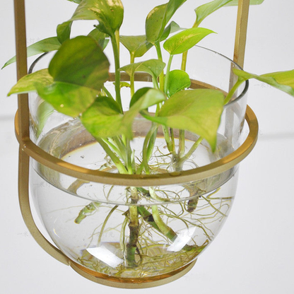 Modern Botanical Planter Pendant Light  - Gold Glass Bowl Pendant Lights