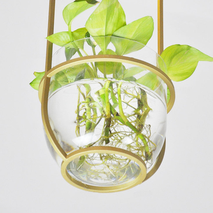 Modern Botanical Planter Pendant Light  - Gold Glass Bowl Pendant Lights