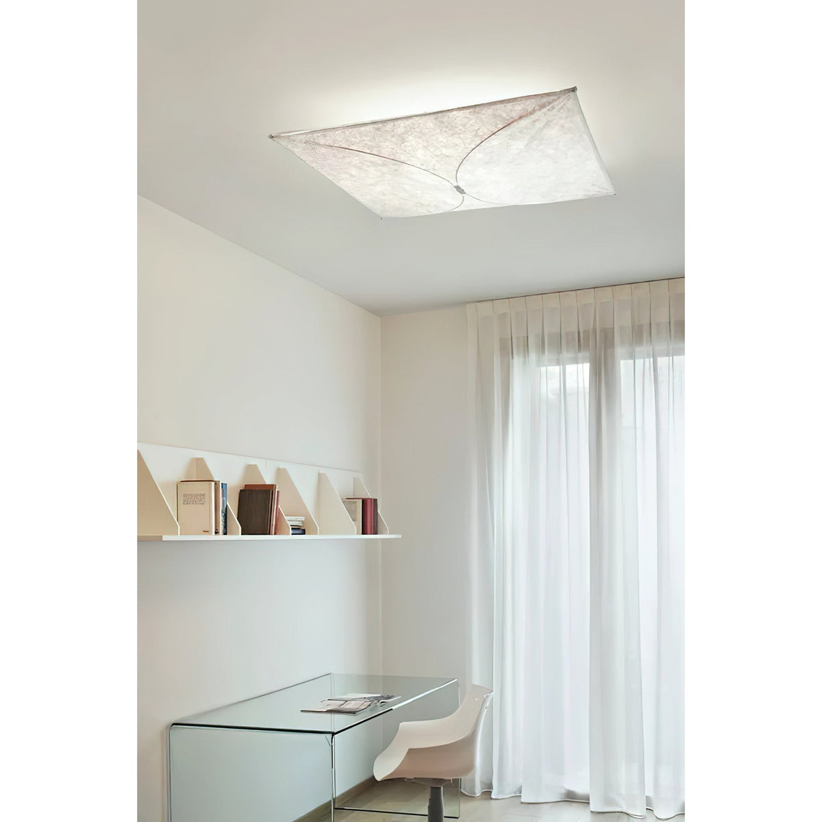 Kite Wall & Ceiling Light