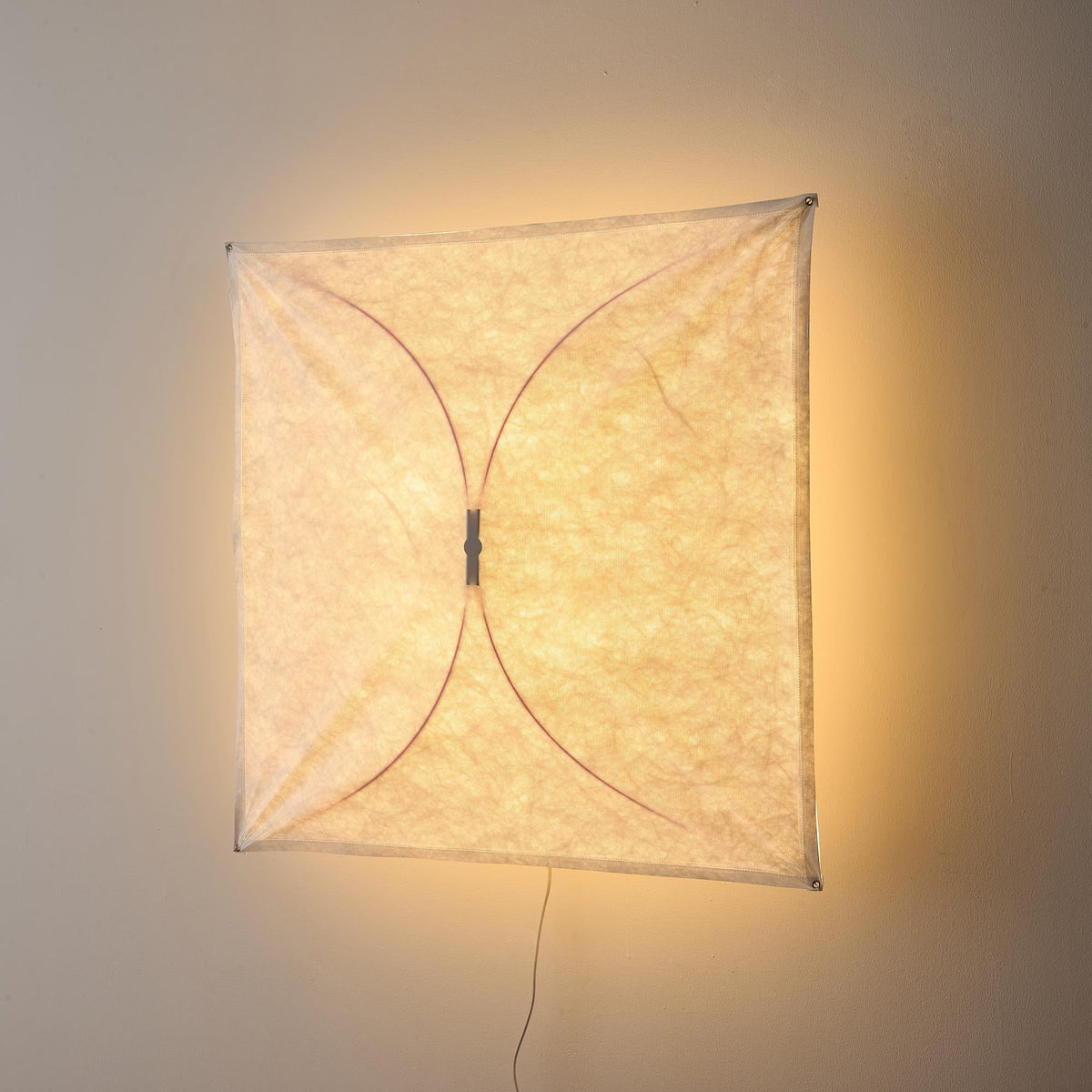 Kite Wall & Ceiling Light