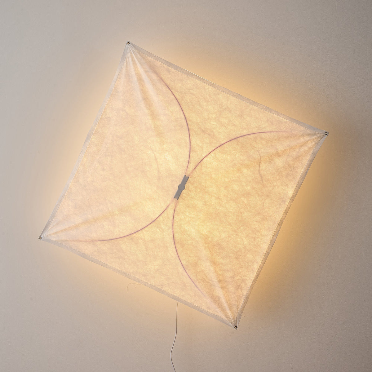 Kite Wall & Ceiling Light