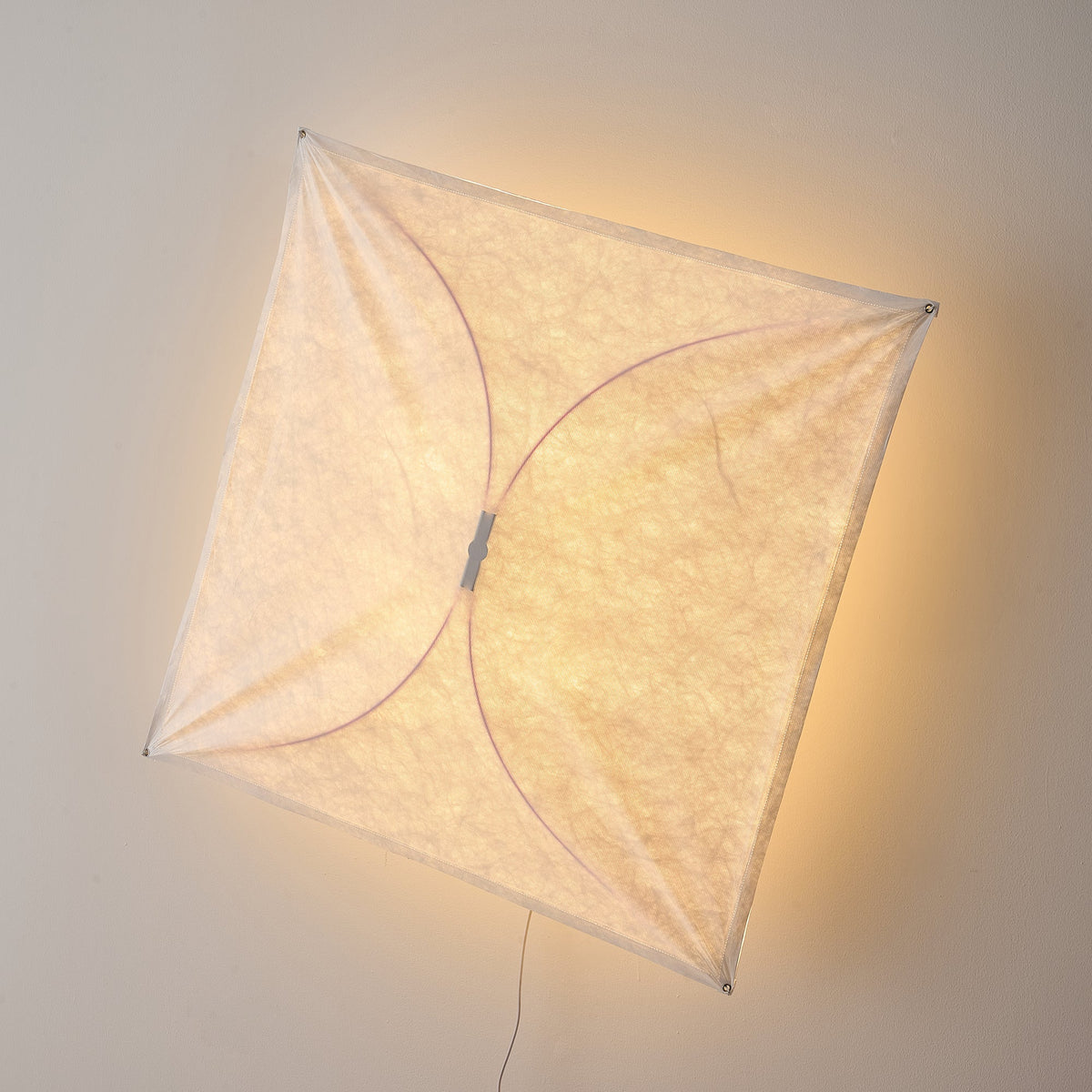 Kite Wall & Ceiling Light