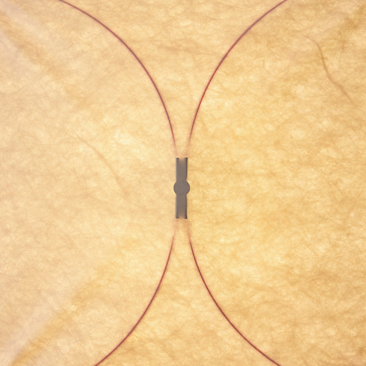 Kite Wall & Ceiling Light