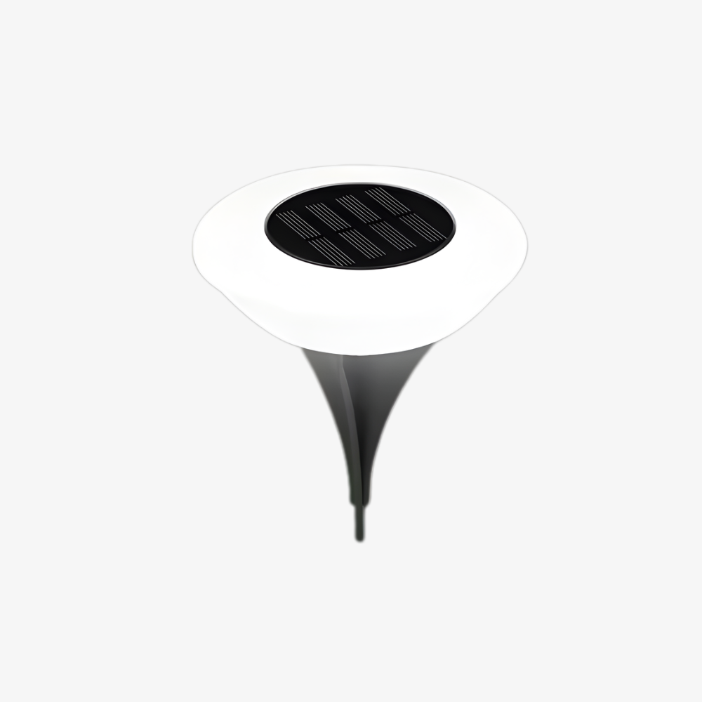 Solar Powered Outdoor Pathway Light with Head and Garden Stake