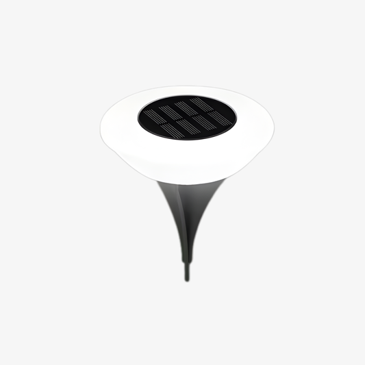 Solar Powered Outdoor Pathway Light with Head and Garden Stake