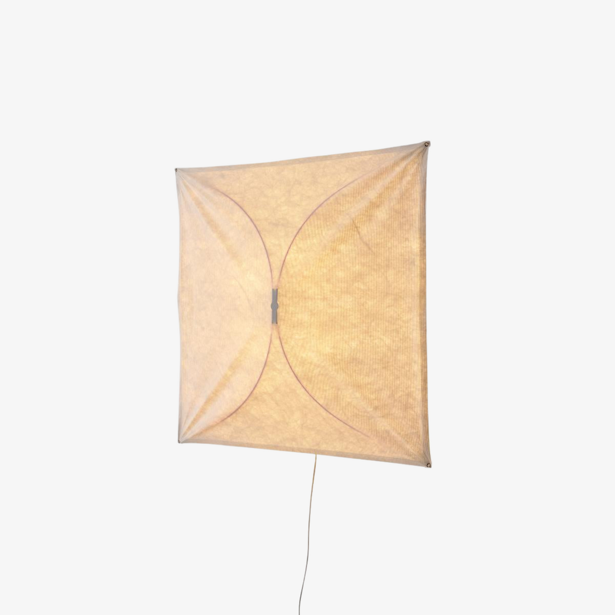 Kite Wall & Ceiling Light