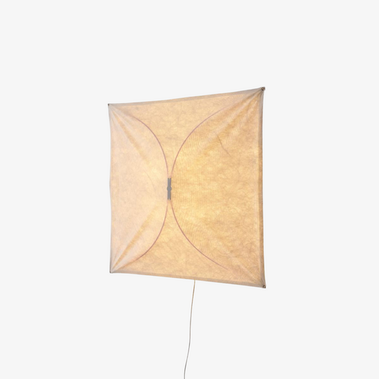 Kite Wall & Ceiling Light
